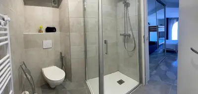 a bathroom with a shower and a toilet at Villa Thamyris Porticcio Ajaccio Corse in Grosseto-Prugna