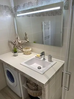 a bathroom with a sink and a washing machine at Villa Piazzola in Petreto-Bicchisano