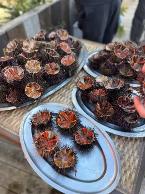 three plates of cupcakes with crabs on them on a table at Villa Piazzola in Petreto-Bicchisano