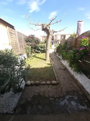 a garden with a tree in the middle of a yard at Villa Frati in Poggio-Mezzana