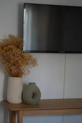 a television and a vase with flowers on a table at HÖTEL U SANTA MARIA in Olmeto