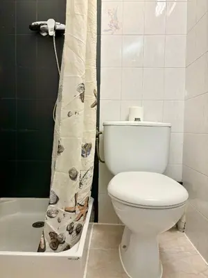 a bathroom with a toilet and a shower curtain at HÖTEL U SANTA MARIA in Olmeto