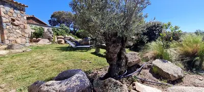 a tree and a bench in a yard with rocks at Bergerie A Sapara in Pianottoli-Caldarello