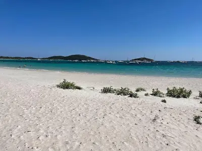a sandy beach with the ocean in the background at Villa La Rondina vue mer, piscine et plage à pied. in Zonza