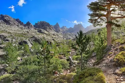a view of a mountain with trees and bushes at Appartement T2 Porto in Porto Ota