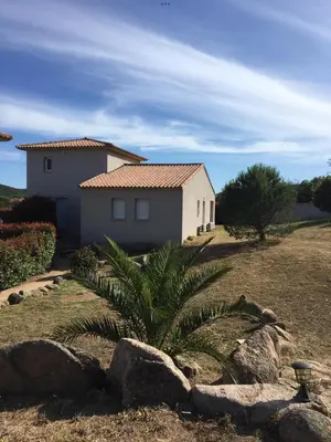 a house with a palm tree in front of a yard at Appartement proche des plages in Porto-Vecchio