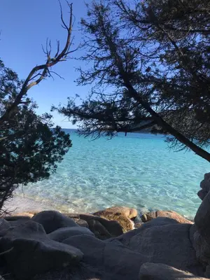 a view of the ocean from the rocks and trees at Appartement proche des plages in Porto-Vecchio
