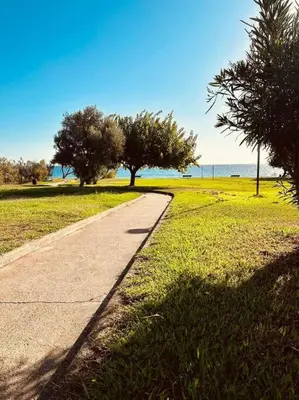 a path in a field with trees and the ocean at Charmant T2 rénové avec vue mer in Cervione