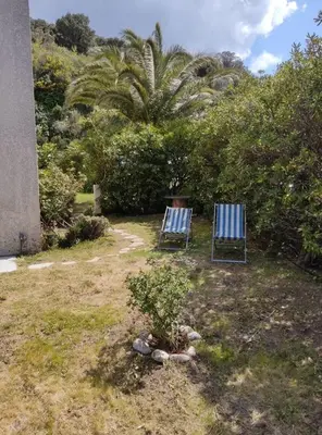 two chairs sitting in a yard with a palm tree at Sartène Appartement 3 pièces vue mer avec jardin in Sartène