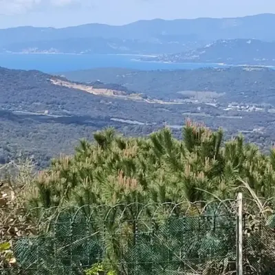 Sartène Appartement 3 pièces vue mer avec jardin
