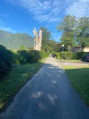 a path with a tree on the side of a road at A CASA DI SPIAGGIA in San-Nicolao