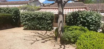 a garden with a tree and bushes in front of a house at Mini villa - T2 climatisé, proche des plages in Eccica-Suarella