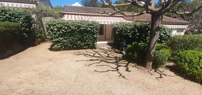 a yard with a house with a tree and bushes at Mini villa - T2 climatisé, proche des plages in Eccica-Suarella