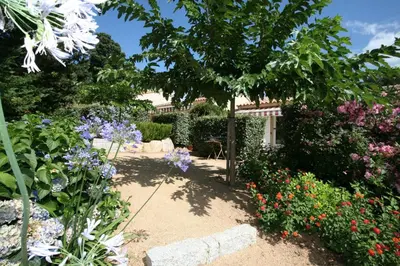 a garden with colorful flowers and a tree at Mini villa - T2 climatisé, proche des plages in Eccica-Suarella