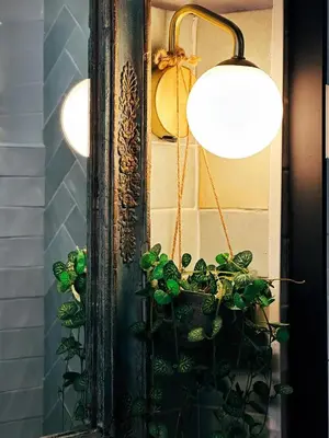 a mirror with a potted plant next to a lamp at Casaluna, centre village, joli petit studio in Sotta