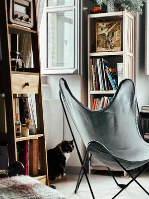 a chair in a room with a cat sitting next to a book shelf at Casaluna, chambre climatisée dans maison de village in Sotta