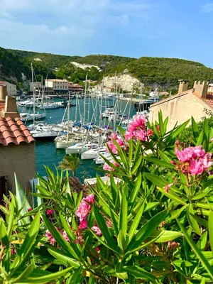 a bunch of boats in a marina with pink flowers at Appartement au centre du Port de Bonifacio in Bonifacio