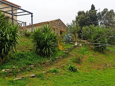 a garden in front of a house at A Casetta in Prunelli-di-Fiumorbo