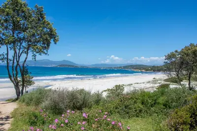 a beach with flowers and the ocean in the background at Superbe appartement 3 chambres avec Grande Terrasse in Pietrosella
