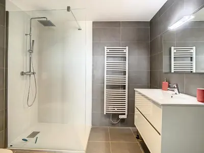 a bathroom with a shower and a sink at Superbe appartement 3 chambres avec Grande Terrasse in Pietrosella