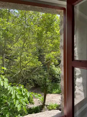 a window view of a garden outside a house at Domaine du Couvent de Saint Julien in Bonifacio