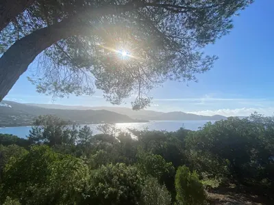 a view of a lake from under a tree at A Pineta Corsa in Pietrosella