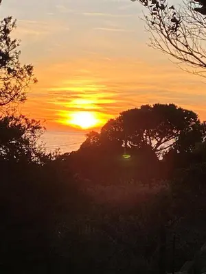 a sunset over the ocean with trees in the foreground at A Pineta Corsa in Pietrosella