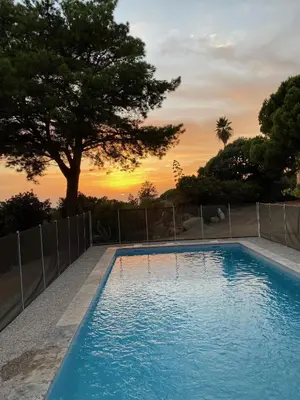 a blue swimming pool with a tree in the background at A Pineta Corsa in Pietrosella