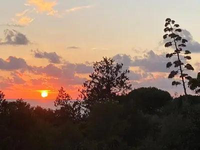 a sunset over the ocean with trees in the foreground at A Pineta Corsa in Pietrosella