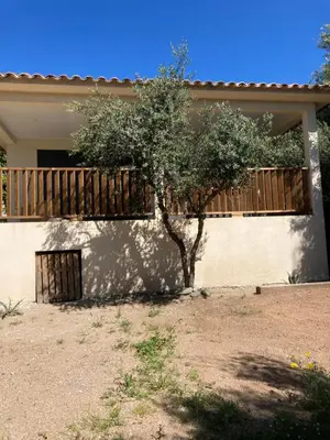 a small tree in front of a house at Villa 4 personnes - 2 chambres - Figari in Figari