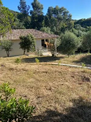 a small white house in a field with trees at Villa 4 personnes - 2 chambres - Figari in Figari