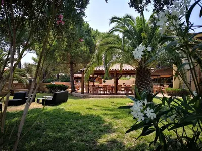 a resort with palm trees and a restaurant at Superbe T2 neuf 42m² Cala Rossa (proche mer) in Lecci