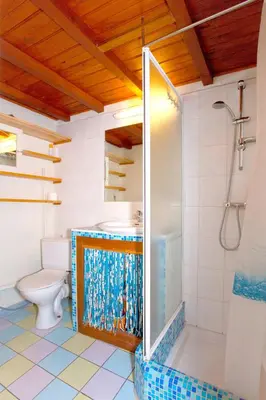 a bathroom with a shower and a toilet at Appartement charmant avec piscine à Porticcio - 32 m² in Porticcio
