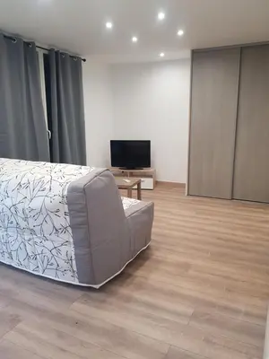a bedroom with a bed and a flat screen tv at Maison T2 500m de la plage in Poggio-Mezzana