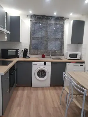 a kitchen with a washer and dryer under a counter at Maison T2 500m de la plage in Poggio-Mezzana
