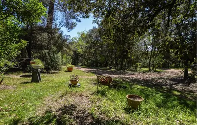 a park with a bench and potted plants in the grass at 2 Bedroom Stunning Apartment In Afa in Afa