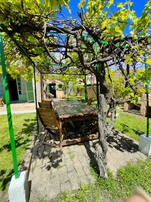 a wooden table and chairs under a tree at Maison de campagne piscine et jardin privatifs près de la plage in Aléria