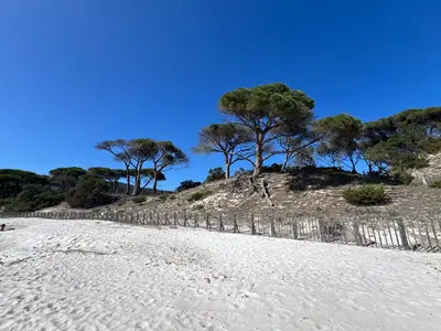a beach with trees on top of a hill at Cala Rossa T2 Neuf à 800 m de la mer appart n 81 in Lecci