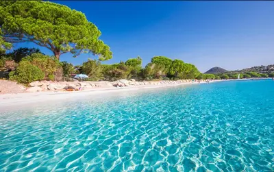 a beach with blue water and trees on it at Cala Rossa T2 Neuf à 800 m de la mer appart n 81 in Lecci