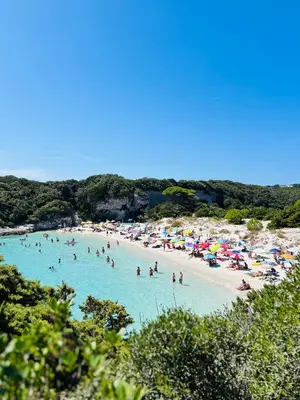 a group of people in the water at a beach at Cala Rossa T2 Neuf à 800 m de la mer appart n 81 in Lecci