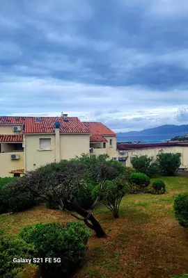 a house with a tree in front of it at T2 bord de mer Agosta in Albitreccia