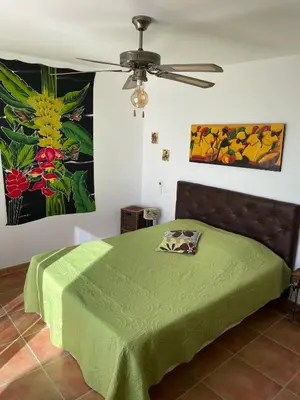 a bedroom with a green bed with a ceiling fan at villa 4 etoiles 3 chambres vue mer ajaccio in Pietrosella