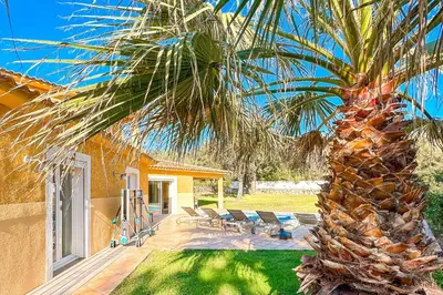 a palm tree in the yard of a house at Villa Amaredda Di Arasu in Sainte-Lucie de Porto-Vecchio