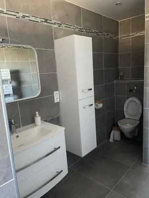 a bathroom with a toilet and a sink and a mirror at Belle Maison avec piscine Furiani in Furiani