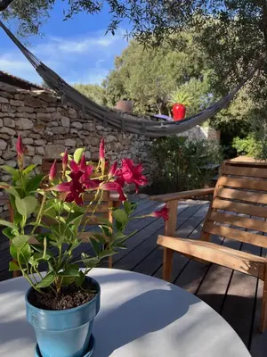 a potted plant sitting on a table on a patio at La Casa Soliam in Bonifacio