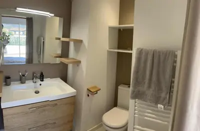 a bathroom with a sink and a toilet and a mirror at Maison de Vacances Avec Piscine Privée en Corse, BORGO in Borgo