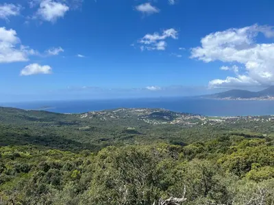 a view of the ocean from a hill with trees at Casa Mulinchese entre Mer et Montagne in Volpajola