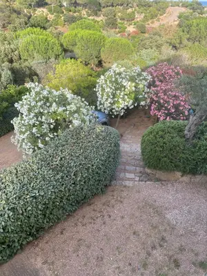 a garden with bushes and flowers on a path at Superbe Villa Porto Vecchio vue mer plage à pied in Porto-Vecchio