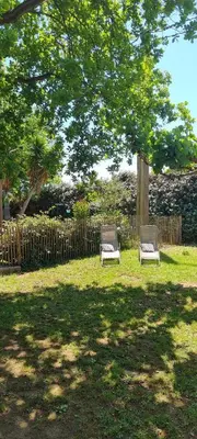 two benches sitting in the grass under a tree at Résidence bord de mer I Querci in Poggio-Mezzana