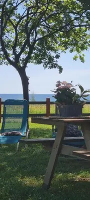 a picnic table with a chair and a tree at Résidence bord de mer I Querci in Poggio-Mezzana